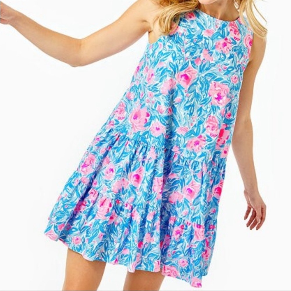 Lilly Pulitzer Tina Swing Dress